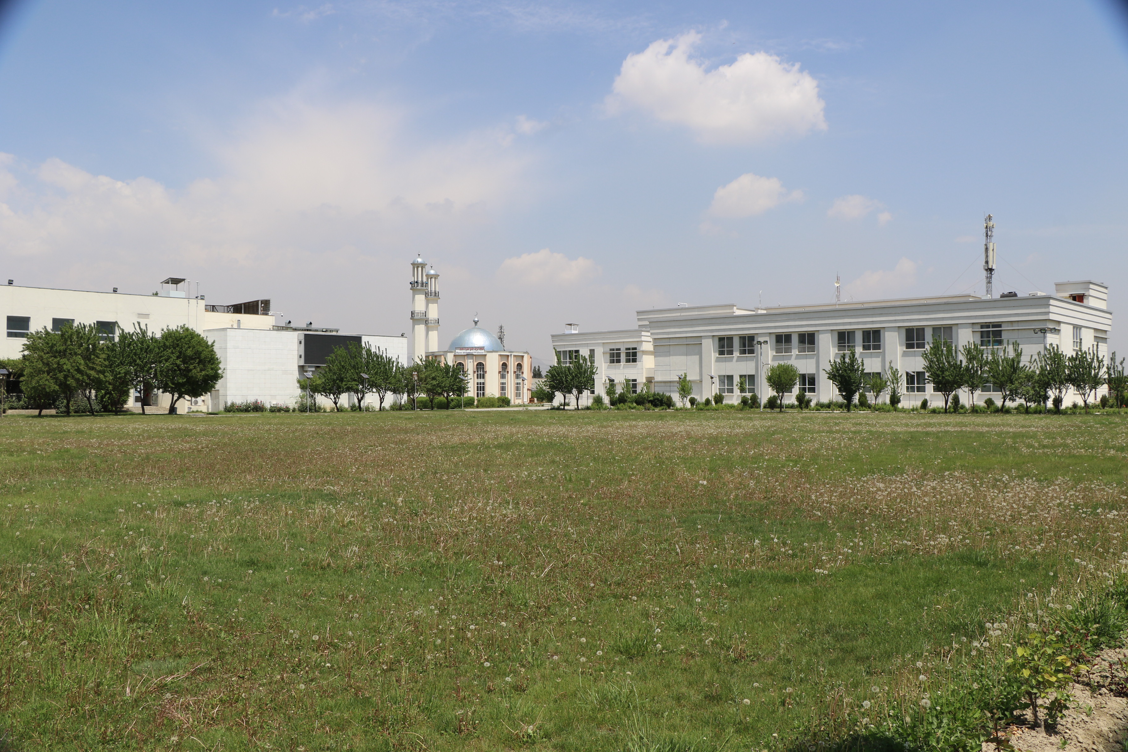 AIIU Environment